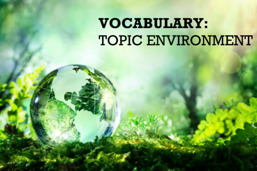 100 Từ Vựng IELTS Theo Chủ Đề Environment (Môi trường) Cho Người Mới