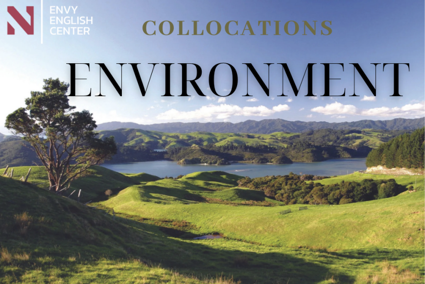Collocations về Environment – Từ vựng tiếng Anh về Môi Trường