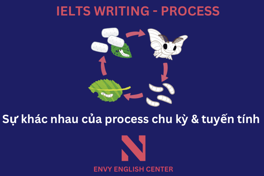 IELTS WRITING TASK 1 - PROCESS, sự khác nhau giữa quy trình mang tính chu kỳ & tuyến tính