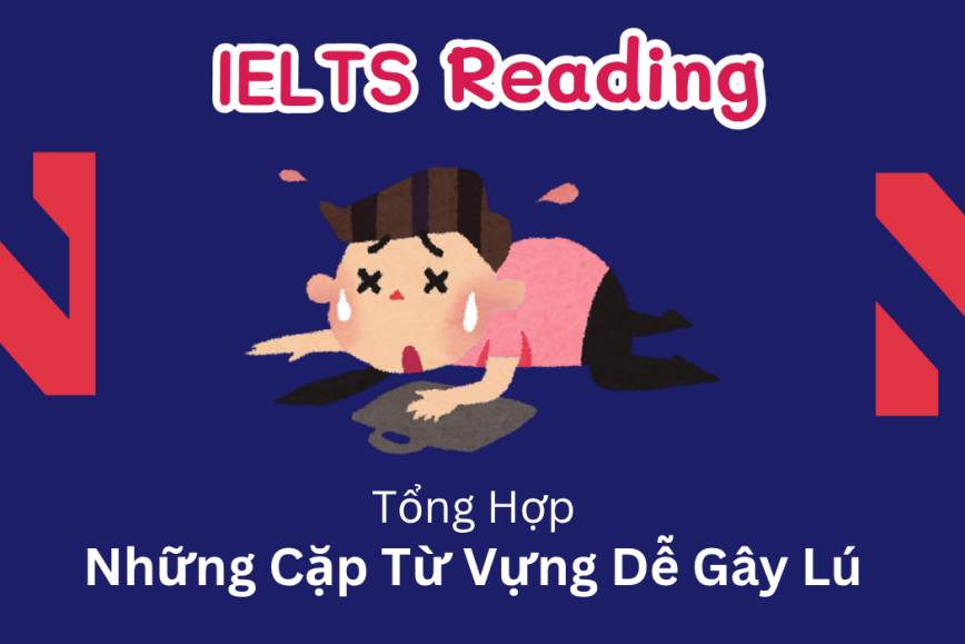 Tổng Hợp Những Cặp Từ Vựng Dễ Gây Lú Trong IELTS Reading