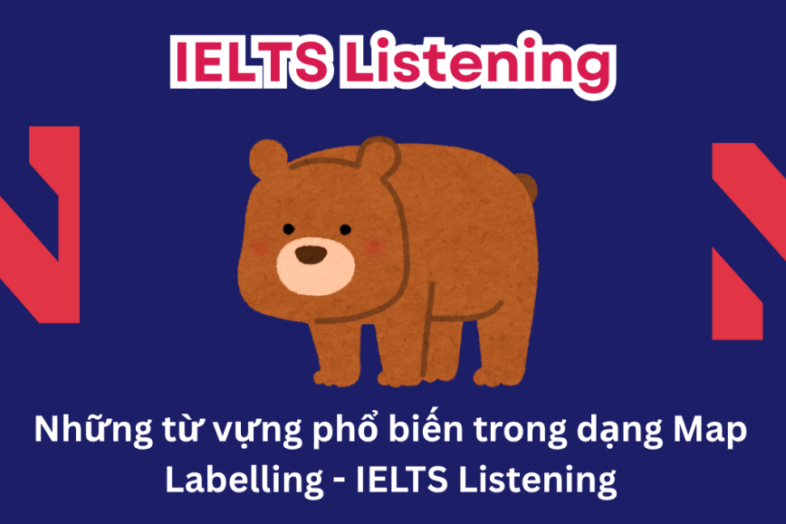Những từ vựng phổ biến trong dạng Map Labelling của IELTS Listening