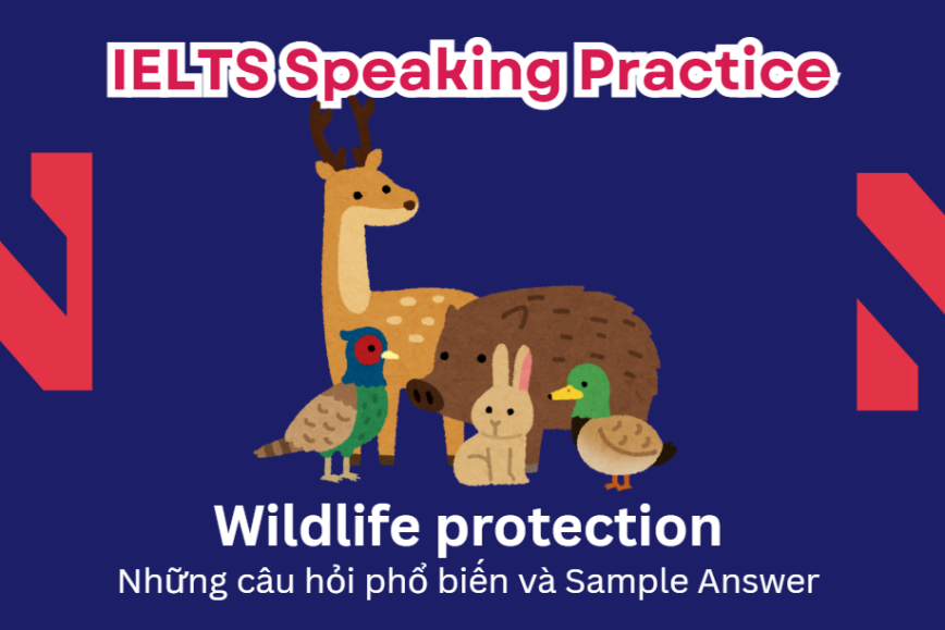 IELTS Speaking Practice: Wildlife Protection - Những câu hỏi phổ biến và Sample Answer