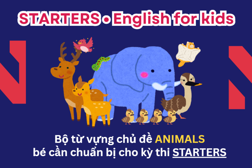 Bộ từ vựng chủ đề ANIMALS bé cần chuẩn bị cho kỳ thi STARTERS