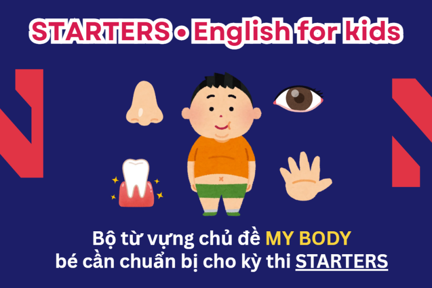Bộ từ vựng chủ đề MY BODY bé cần chuẩn bị cho kỳ thi STARTERS - Lộ trình Cambridge hiệu quả cùng ENVY